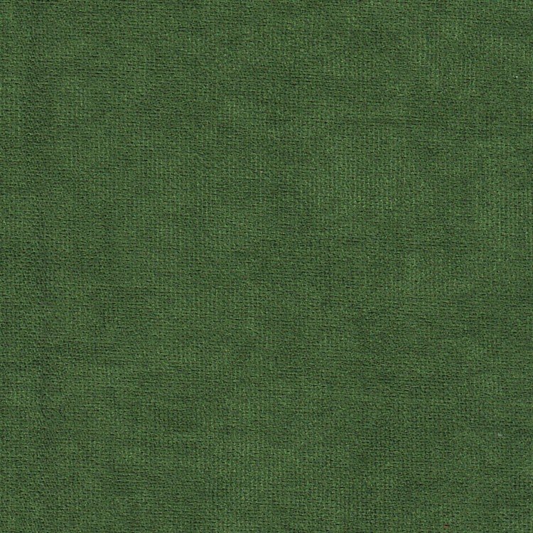 Канвас зелёный v-16